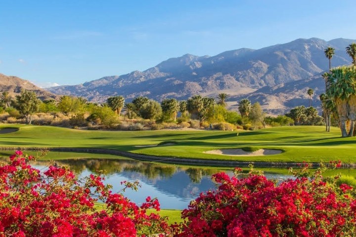 Scenic view of a golf course with mountains, palm trees, a pond, and red flowers in the foreground.